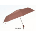 Automatic Open and Close Fold Umbrella (HS-057)